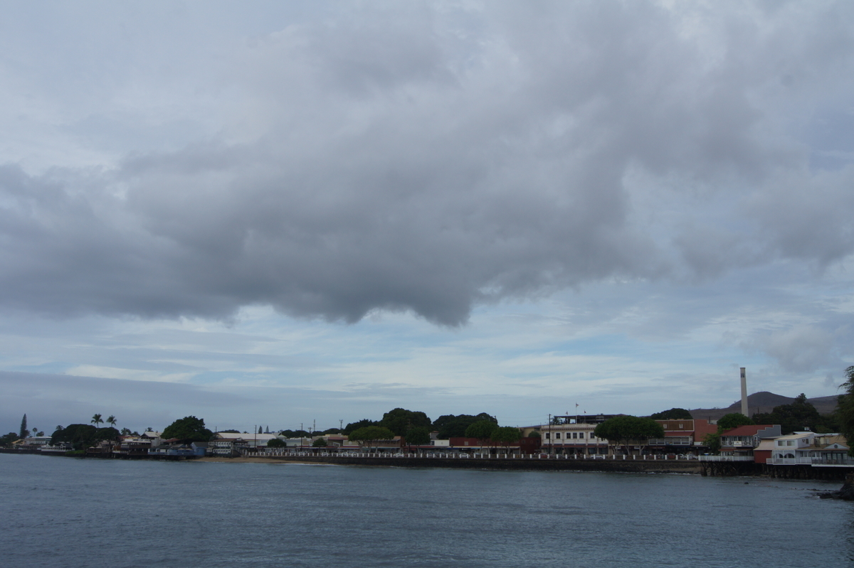 f:id:asato418:20190629175130j:plain