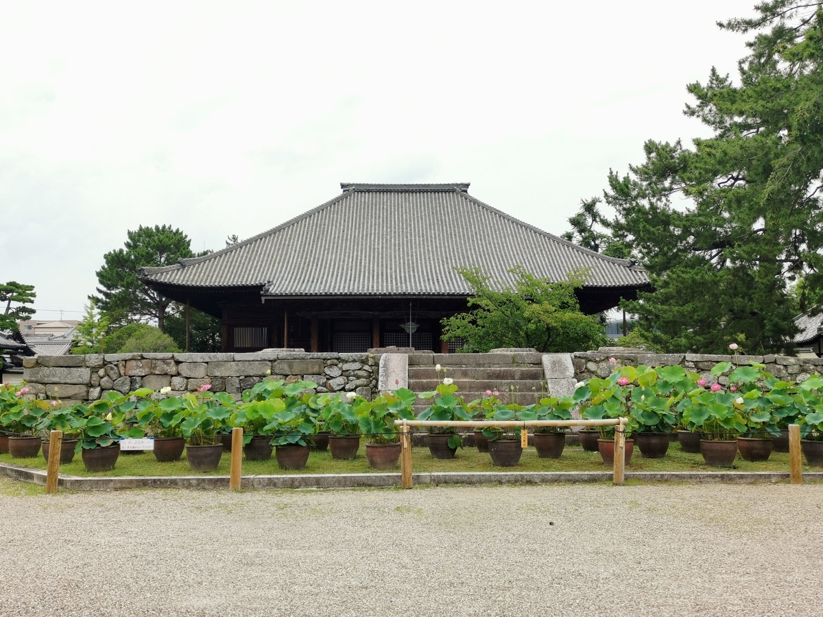 f:id:asato418:20190714003359j:plain