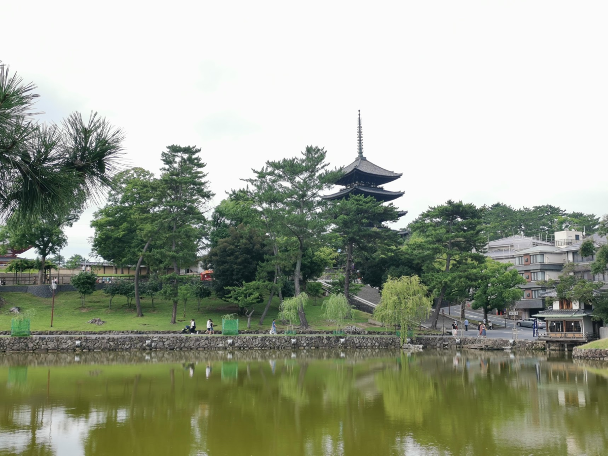 f:id:asato418:20190715234531p:plain f:id:asato418:20190715234531p:plain