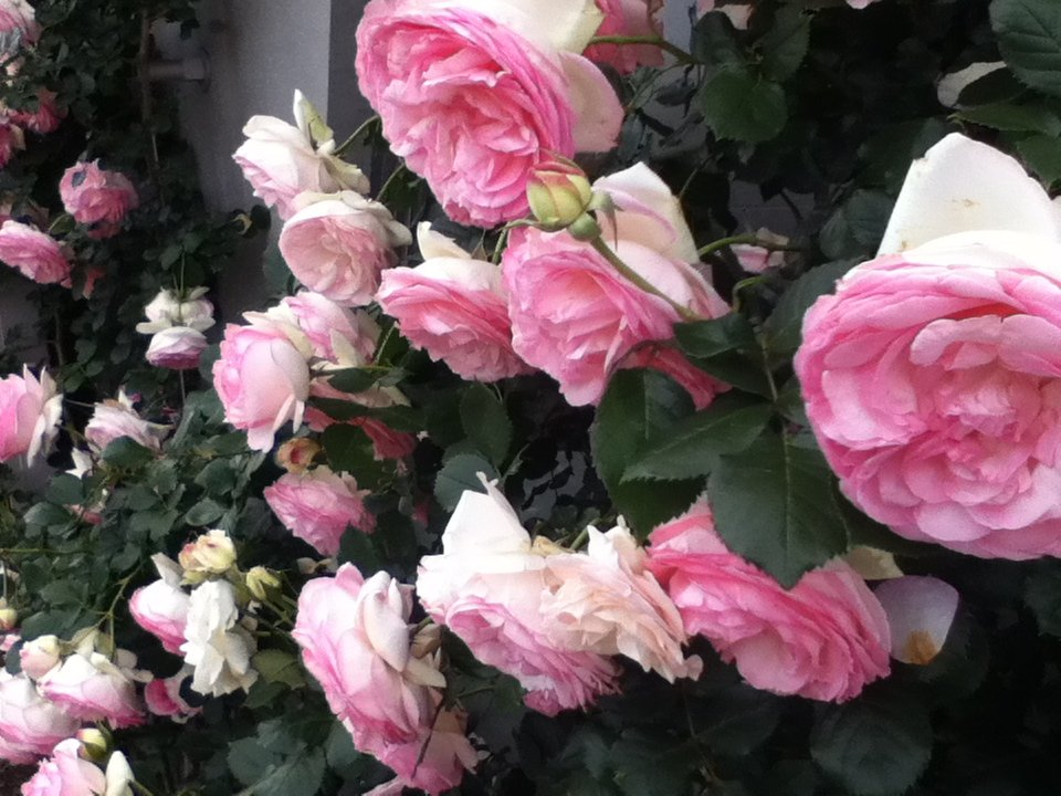 f:id:asato418:20190720221345p:plain