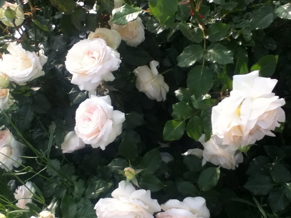 f:id:asato418:20190720221400p:plain