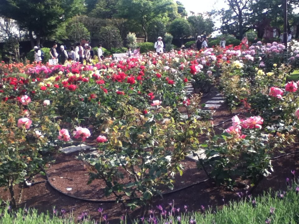 f:id:asato418:20190720221508p:plain