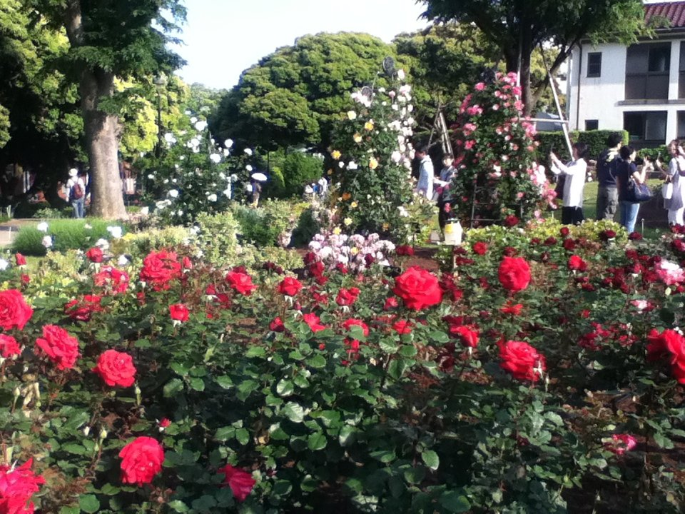 f:id:asato418:20190720221531p:plain