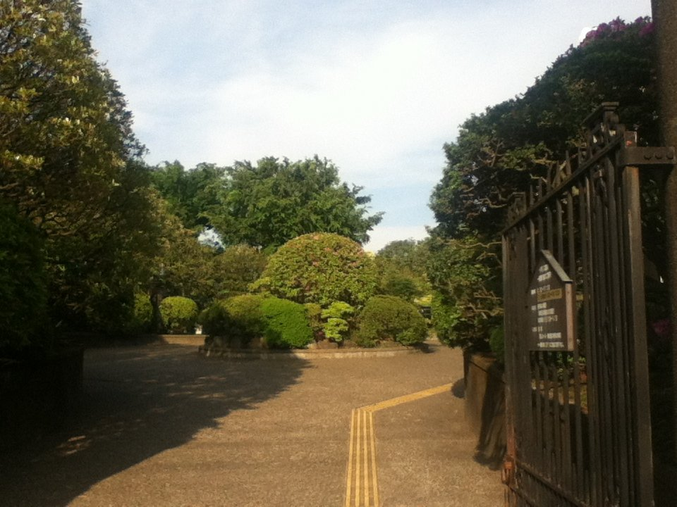 f:id:asato418:20190720221648p:plain