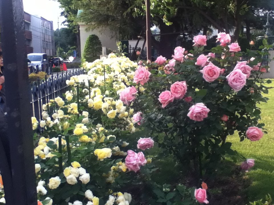 f:id:asato418:20190720221742p:plain