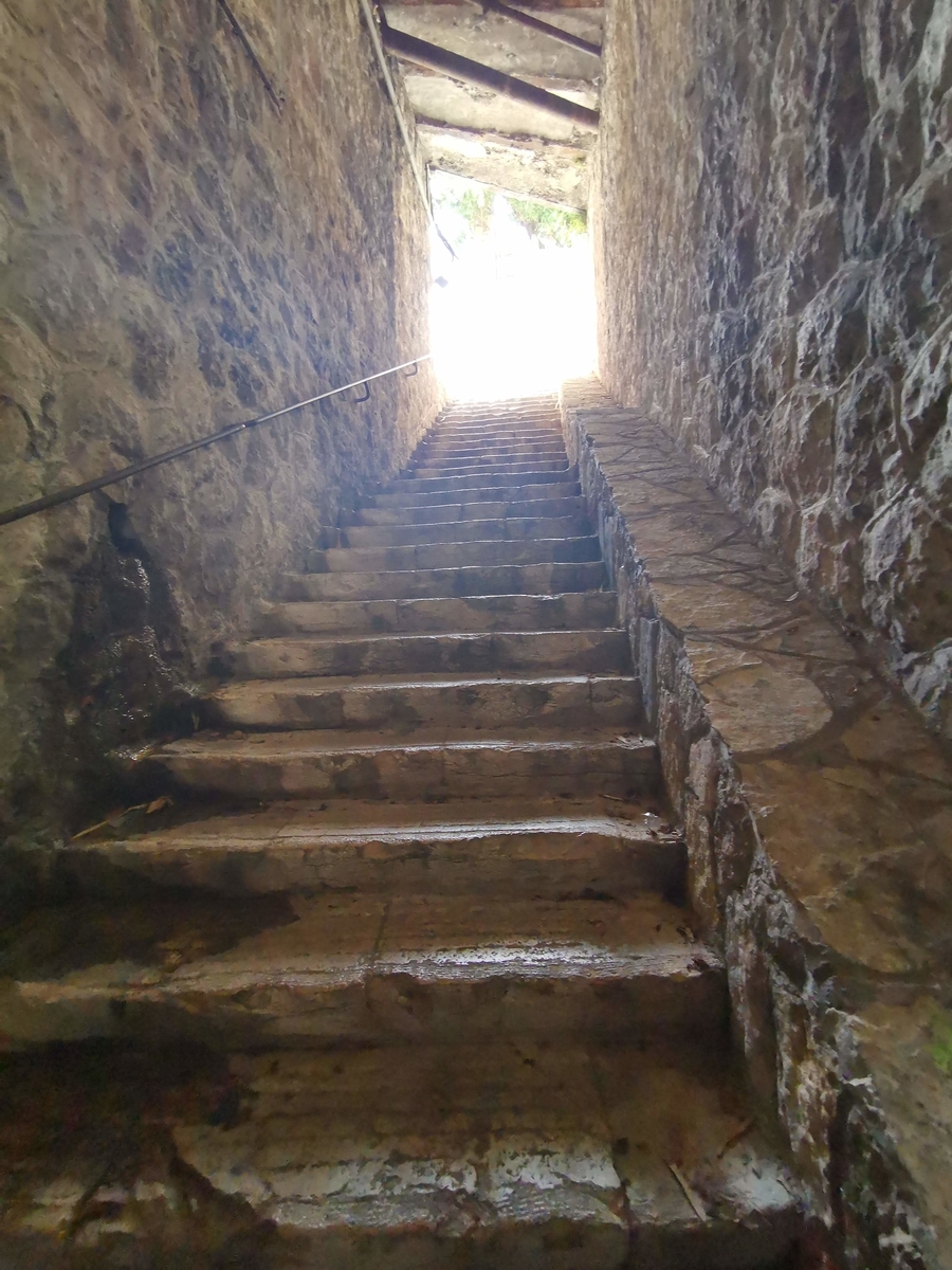 f:id:asato418:20190905230446j:plain