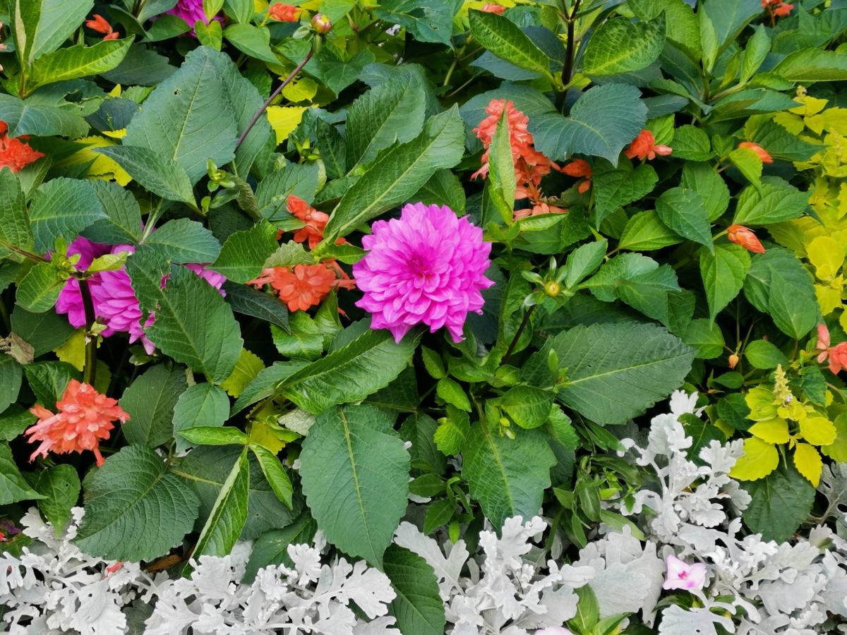 f:id:asato418:20190926032932p:plain