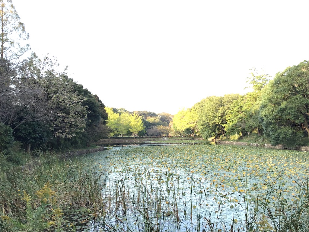 f:id:asato418:20191103121008j:plain f:id:asato418:20191103121008j:plain