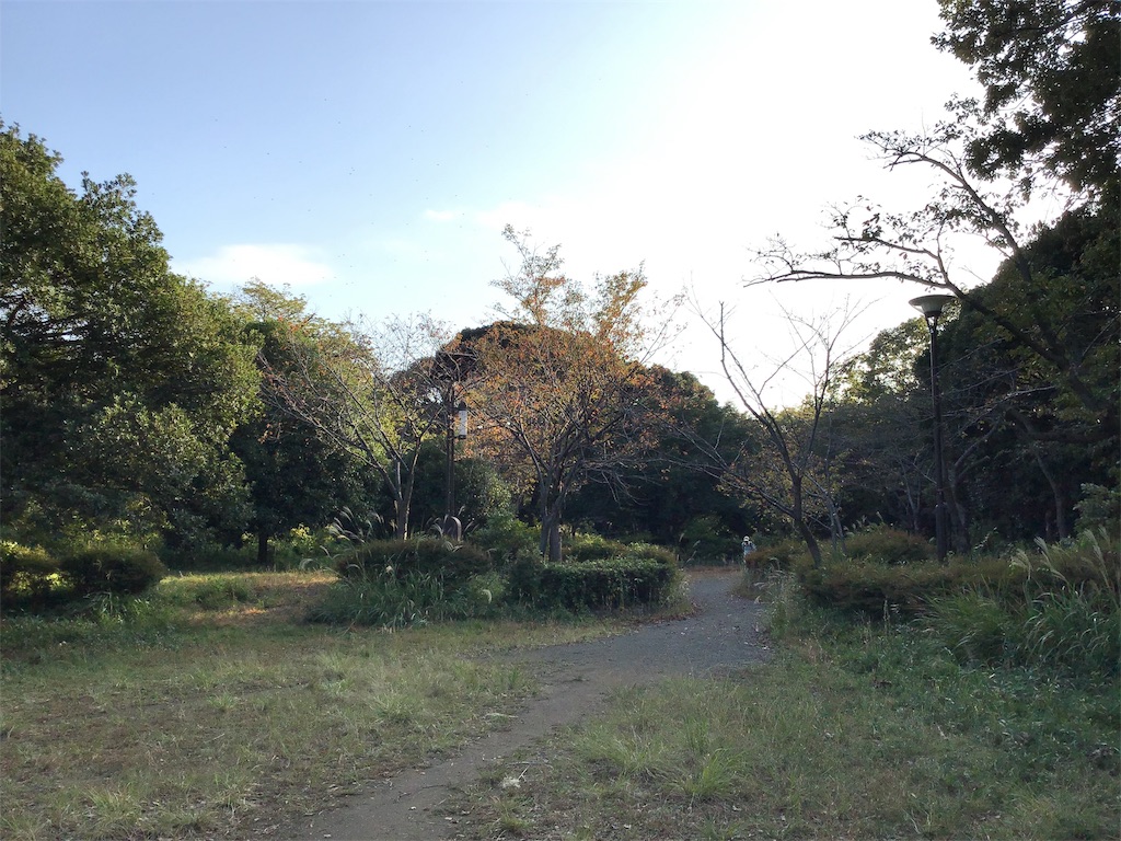 f:id:asato418:20191103121044j:plain f:id:asato418:20191103121044j:plain