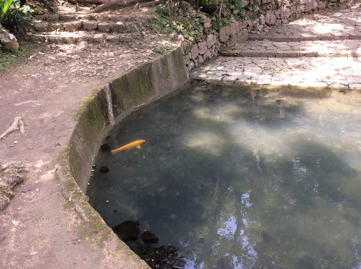 f:id:asato418:20191110234118j:plain f:id:asato418:20191110234118j:plain