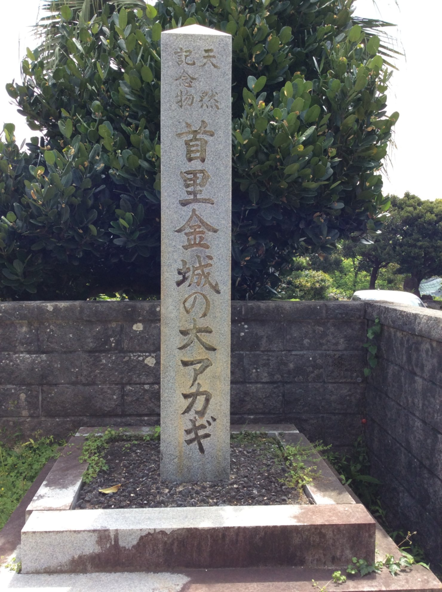 f:id:asato418:20191111223634p:plain f:id:asato418:20191111223634p:plain