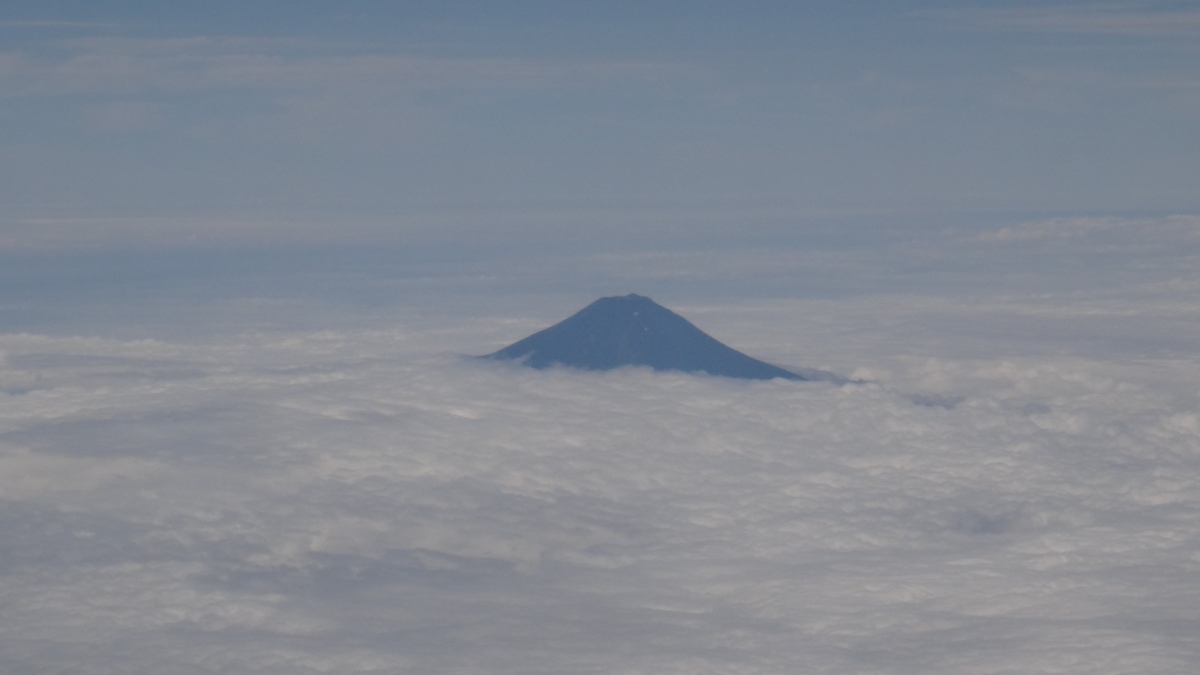 f:id:asato418:20191113220443p:plain f:id:asato418:20191113220443p:plain