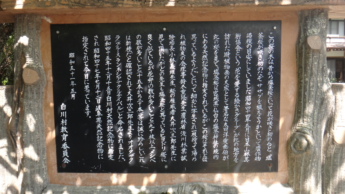 f:id:asato418:20191123161124j:plain