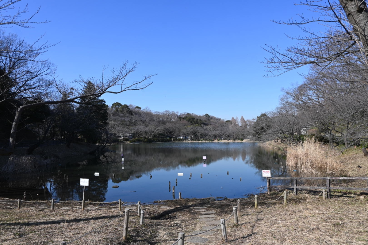 f:id:asato418:20200210221324p:plain