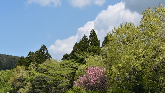 f:id:asato418:20210508200409j:plain