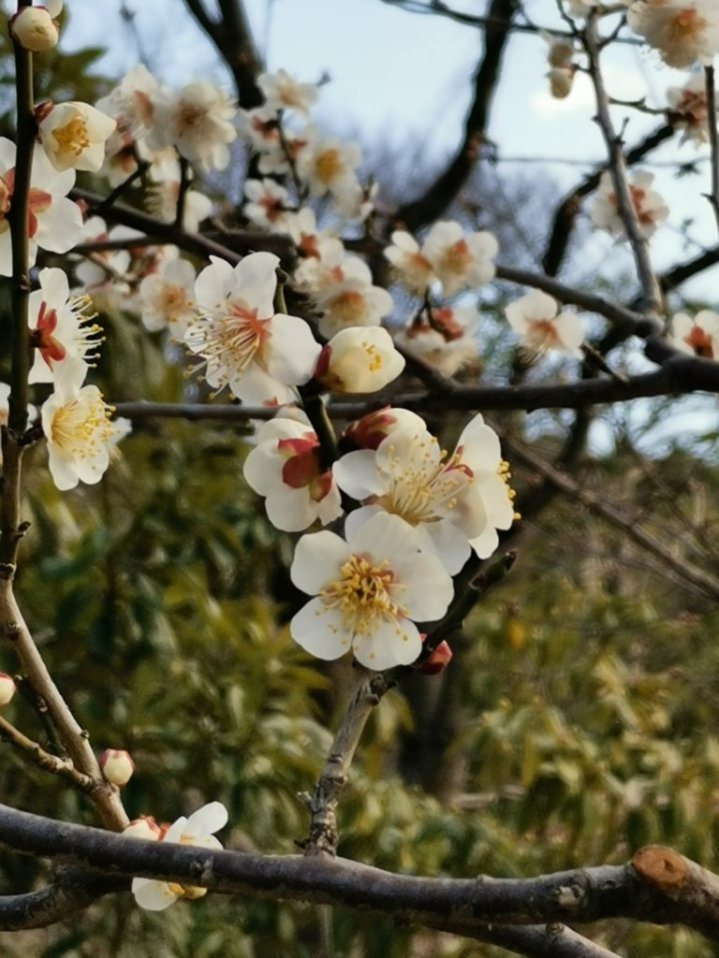 f:id:asato418:20220227223703p:plain