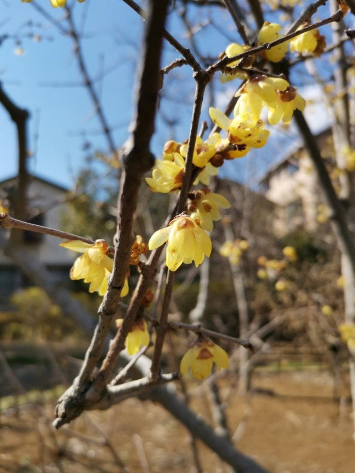 f:id:asato418:20220227223950p:plain