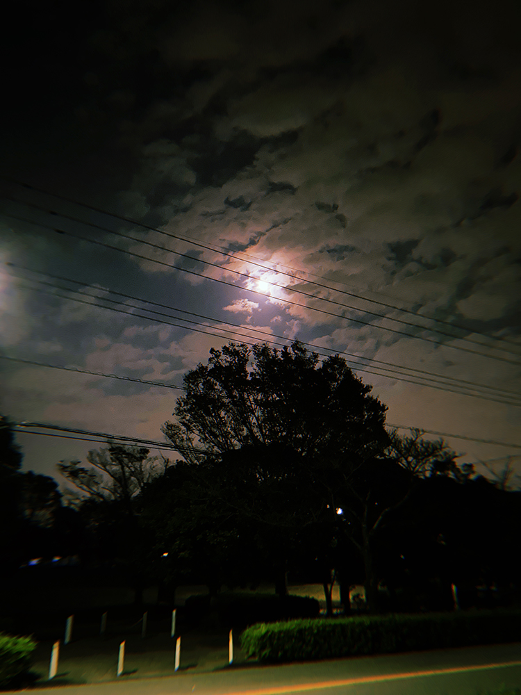 f:id:asaxtsuymi:20211210151304j:plain