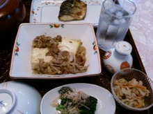 コッコ＆メグたん日記