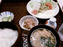 コッコ＆メグたん日記