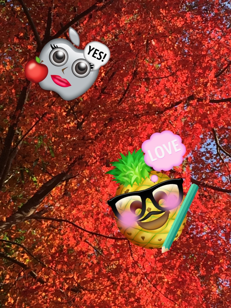 f:id:asazya:20161207090922j:plain f:id:asazya:20161207090922j:plain