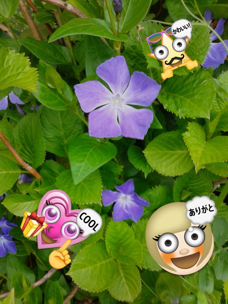 f:id:asazya:20161218183153j:plain f:id:asazya:20161218183153j:plain