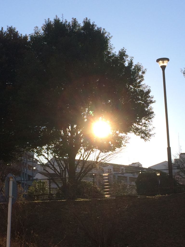 f:id:asazya:20170101170258j:plain f:id:asazya:20170101170258j:plain