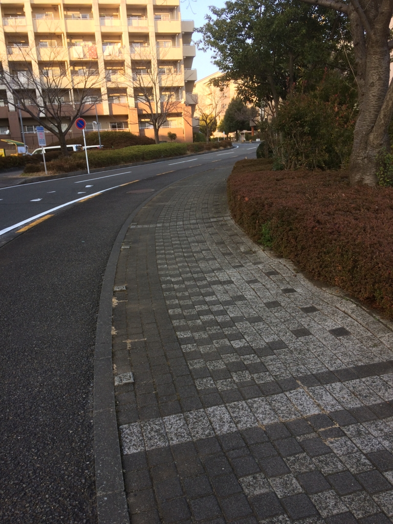 f:id:asazya:20170103163544j:plain f:id:asazya:20170103163544j:plain