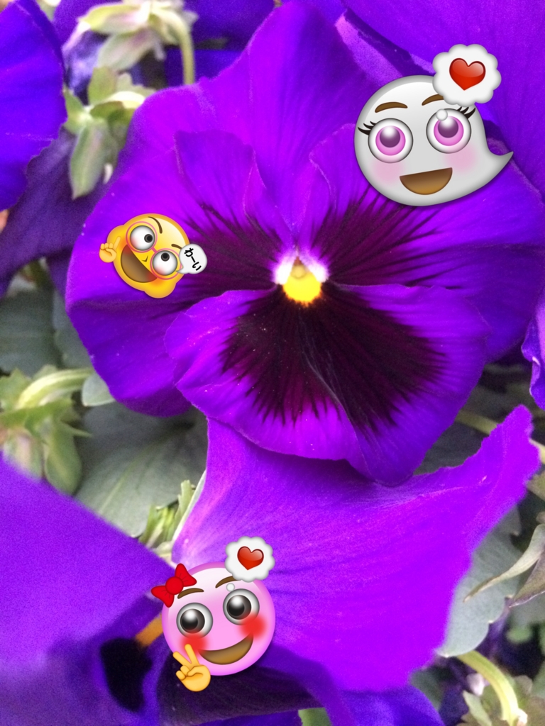 f:id:asazya:20170109225832j:plain f:id:asazya:20170109225832j:plain