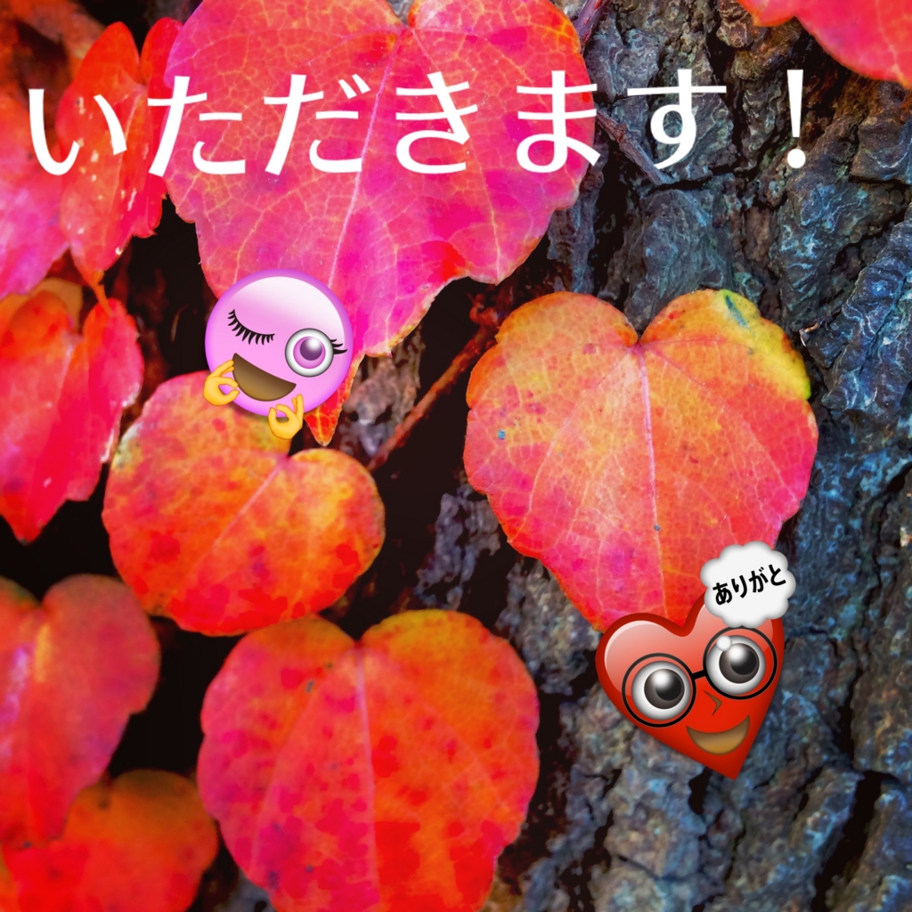 f:id:asazya:20170213165857j:plain f:id:asazya:20170213165857j:plain