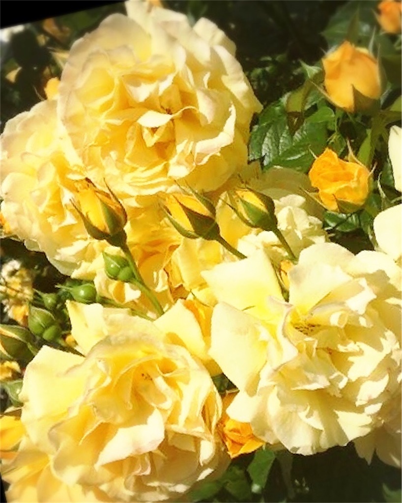 f:id:ascensionrich:20200819223357j:image