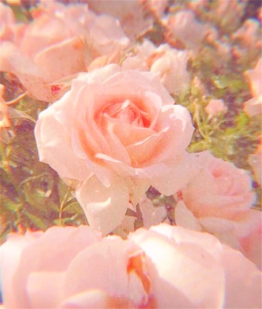 f:id:ascensionrich:20200901213740j:image