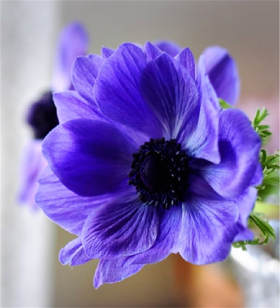 f:id:ascensionrich:20200928074343j:image