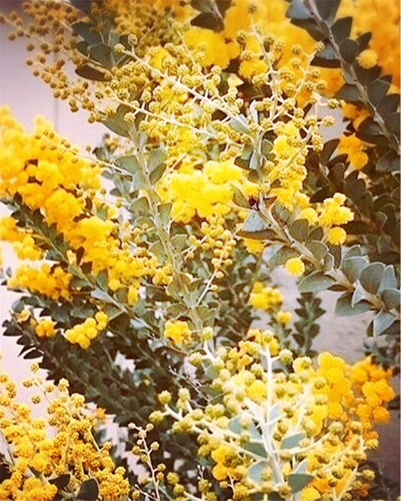 f:id:ascensionrich:20201011175235j:image