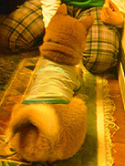 f:id:ascent027:20060521142454j:image
