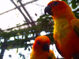 f:id:ascent027:20070214030442j:image