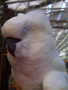 f:id:ascent027:20070214033833j:image