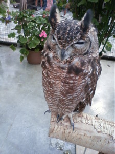 f:id:ascent027:20090926135340j:image