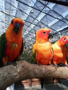 f:id:ascent027:20090926141907j:image
