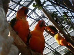 f:id:ascent027:20090926142615j:image