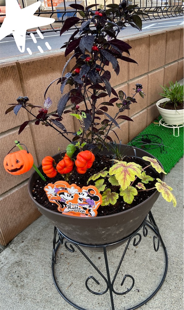 f:id:asehitsuji:20211204121020j:image