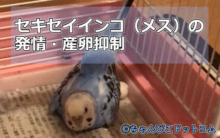 f:id:ash12dekoboko:20200924040229p:plain f:id:ash12dekoboko:20200924040229p:plain