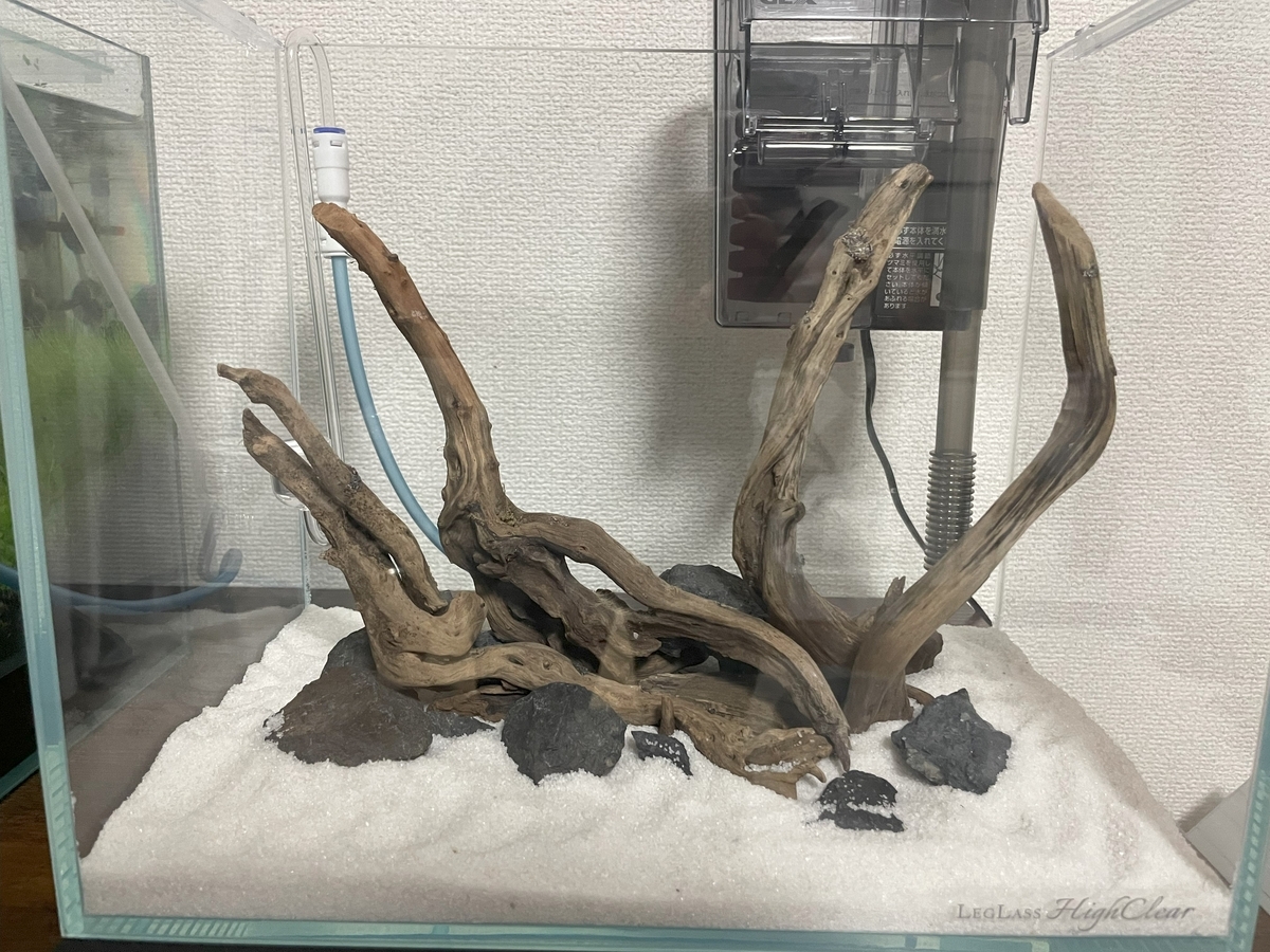 水槽のクジラ　CD 貴重　レア　廃盤　開け放つ窓 水槽のクジラ CD 貴重 レア 廃盤 開け放つ窓 水槽のクジラ