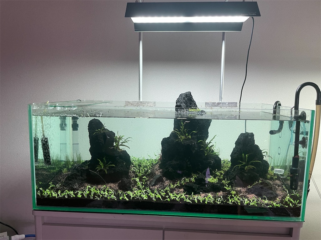 アクアリウム引退 雲山石 XL 3つ穴 レイアウト素材】雲山石各種入荷しました✨️【アクアパーク