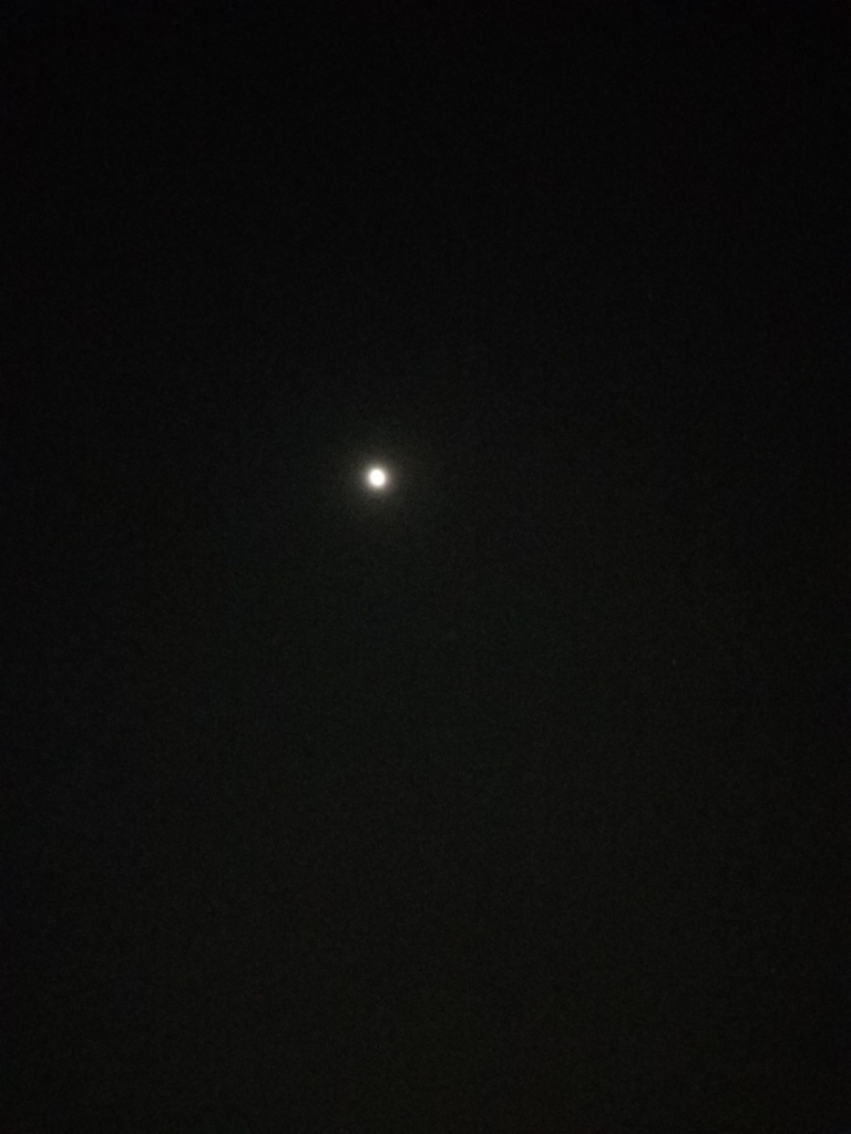 f:id:ashcontortionist:20180201022325j:plain f:id:ashcontortionist:20180201022325j:plain