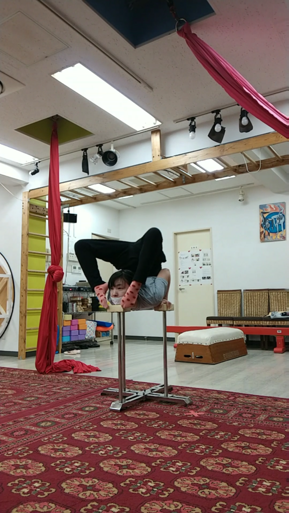 f:id:ashcontortionist:20180301032840p:plain f:id:ashcontortionist:20180301032840p:plain