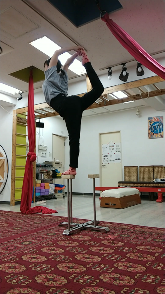 f:id:ashcontortionist:20180301032954p:plain f:id:ashcontortionist:20180301032954p:plain
