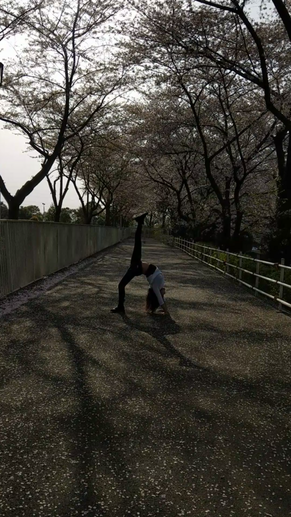 f:id:ashcontortionist:20180402001014p:plain