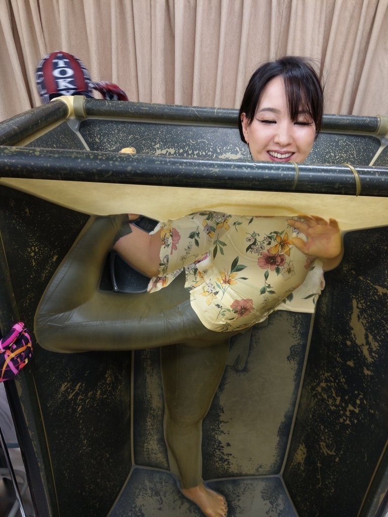 f:id:ashcontortionist:20190122015325j:plain f:id:ashcontortionist:20190122015325j:plain