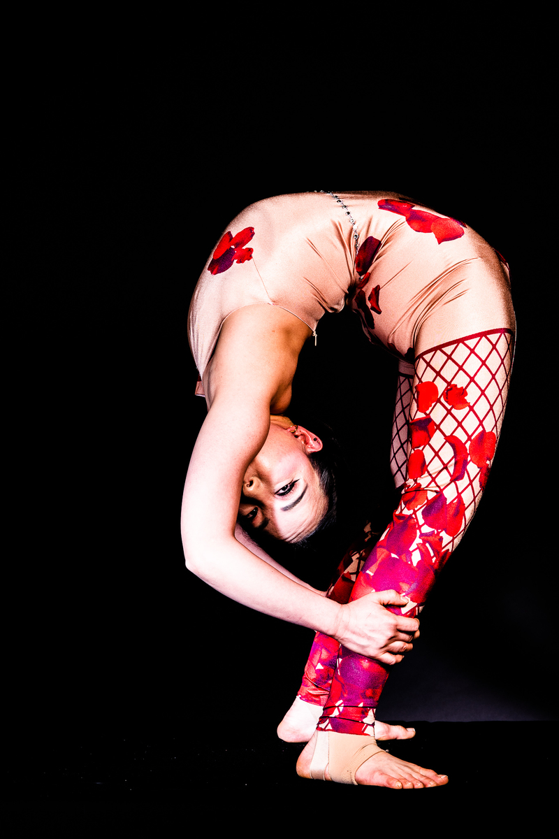 f:id:ashcontortionist:20190403003354j:plain f:id:ashcontortionist:20190403003354j:plain